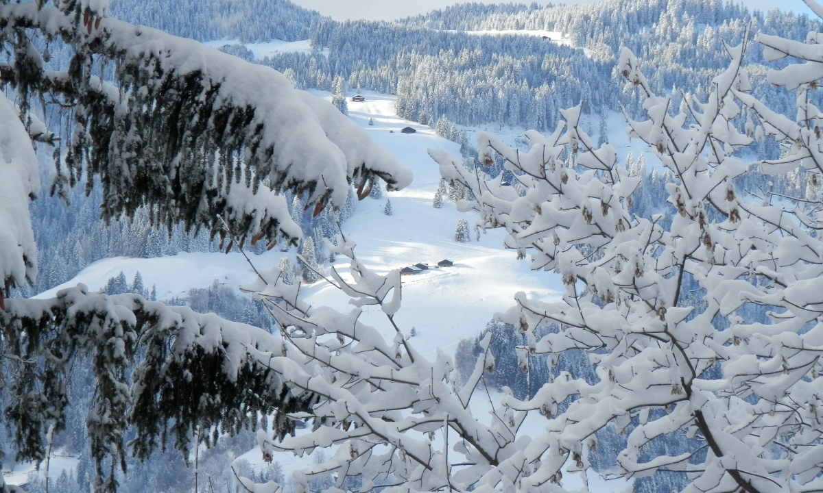 paysage_hiver