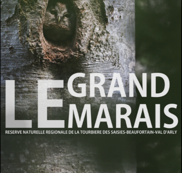 Affiche Le Grand Marais